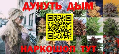трава Кандалакша