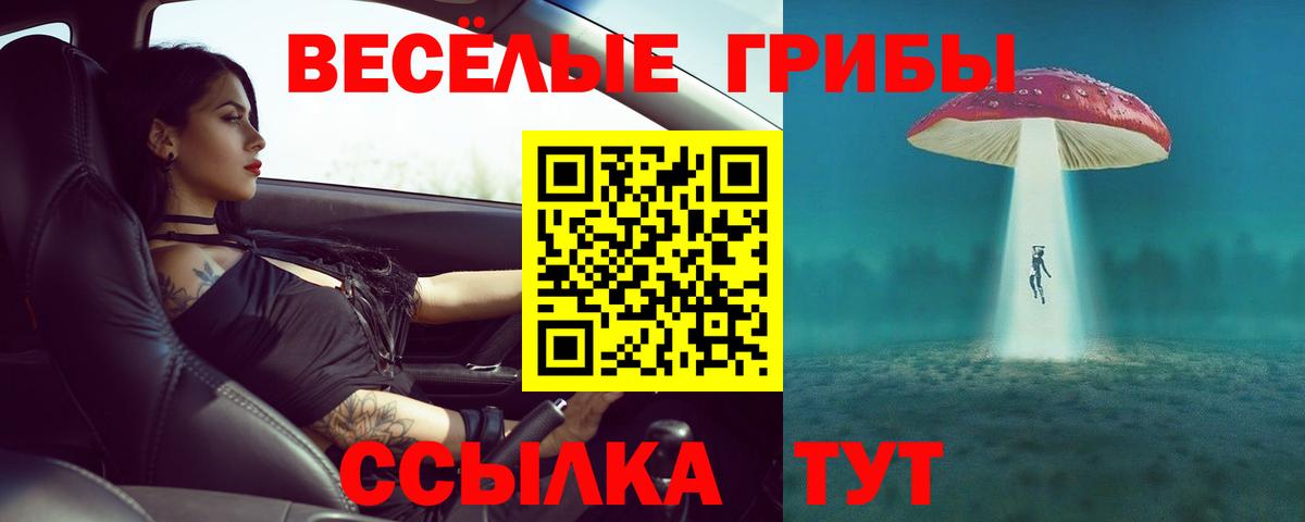 Галлюциногенные грибы прущие грибы  Вход с VPN  Псилоцибиновые грибы мухоморы  Менделеевск 
